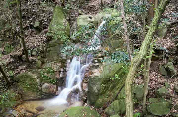 雲竜の滝・全景